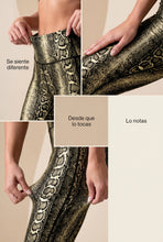 Cargar imagen en el visor de la galería, Bota Campana Verde Phyton - NUEVO | Leggin Anti-Celulitis, Anti-Fluidos Con Cintura Alta &amp; Horma Ideal Leggins RBJ Leggins 
